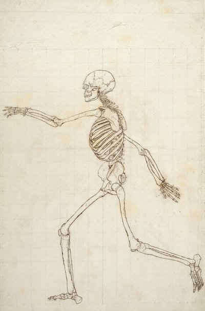 Étude de la figure humaine, vue latérale, de 